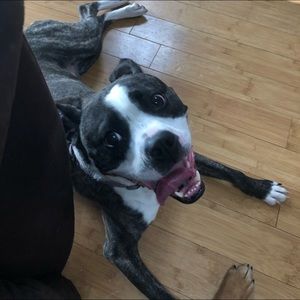 Meet your Posher, Crystal